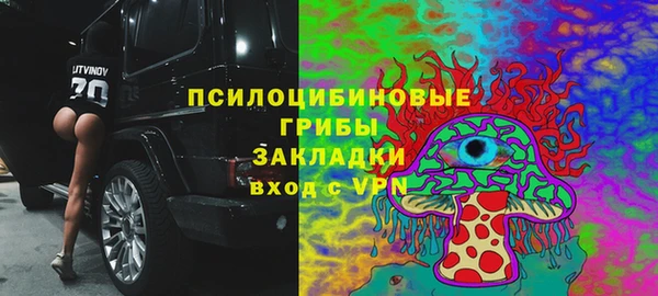 прущая мука Алзамай